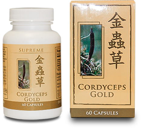Cordyceps