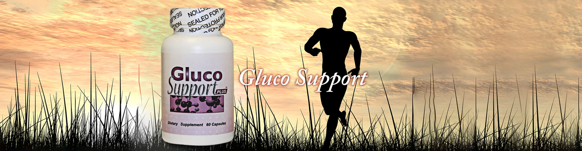gluco support